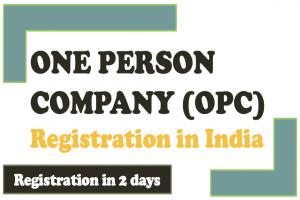 One Person Company